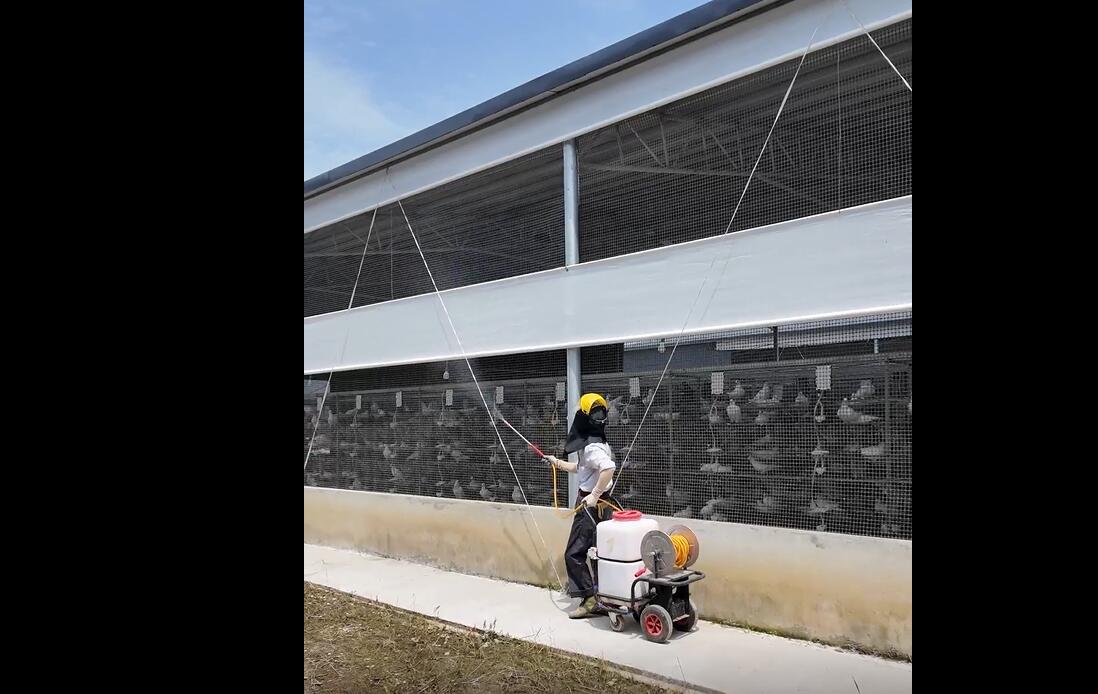 IPM Fly Control for Pigeon Farms – 4-Layer Solution