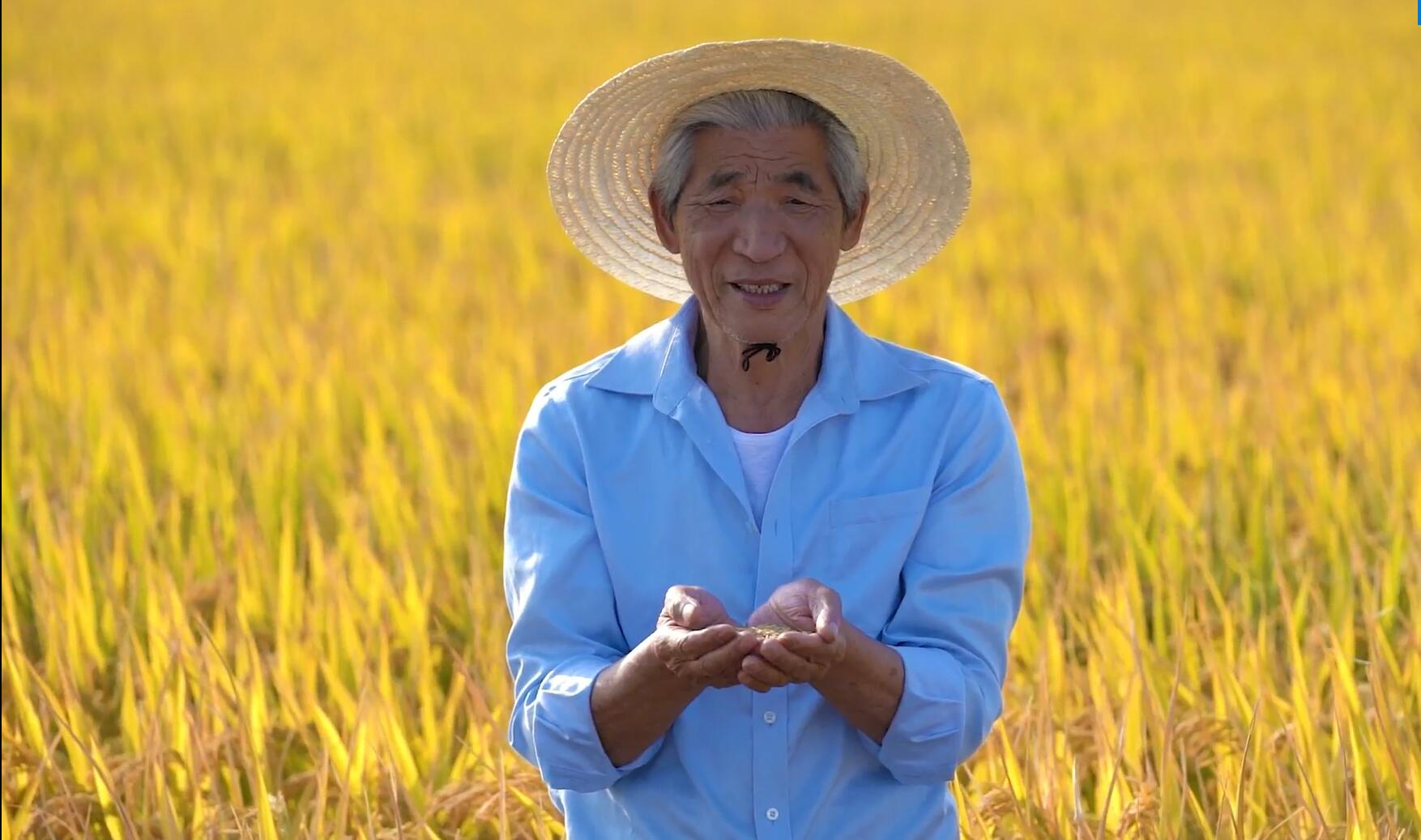 The Sound of Harvest