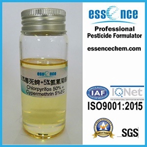 Chlorpyrifos + Cypermethrin