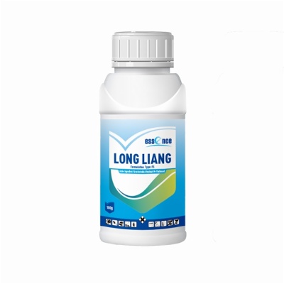 Long Liang